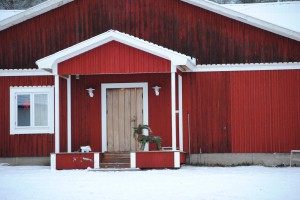 Avvänjning av föl 040 Nya brokvisten vid stallet