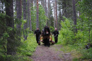 Rid-körläger mm 158 Thomas och Jakob med Lanz